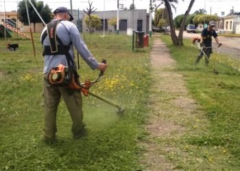 Limpieza y fumigación de espacios públicos