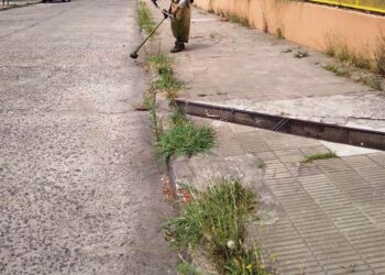 Colaboración con los establecimientos educativos