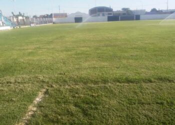 Trabajan en mejorar el campo de juego del Estadio