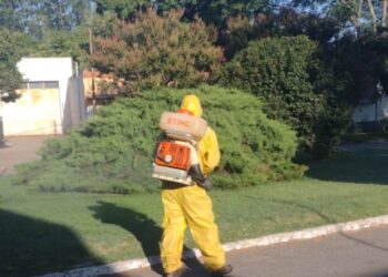 Fumigaciones en Todd y en el Balneario