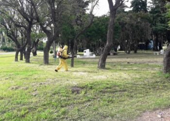 Sigue la fumigación en Arrecifes, Todd y Viña