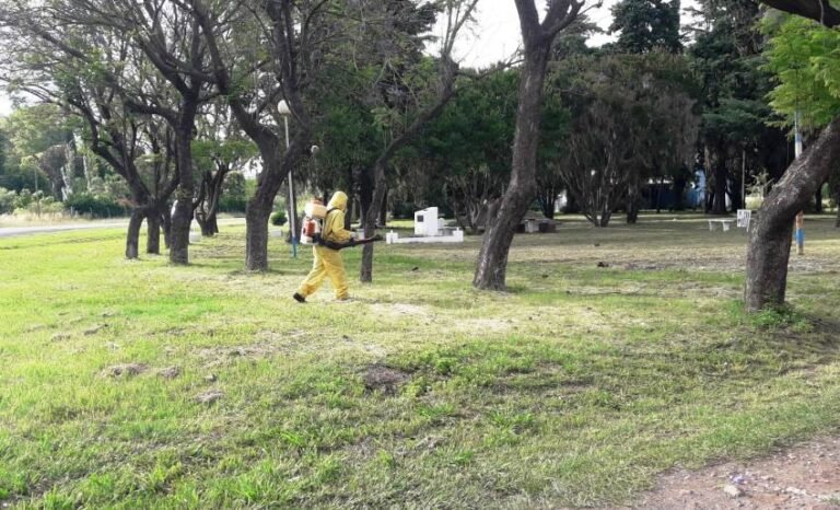 Sigue la fumigación en Arrecifes, Todd y Viña