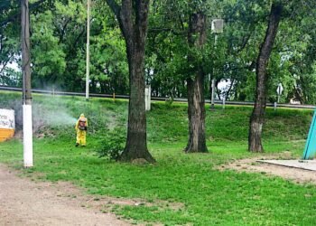 Continúa la fumigación en Arrecifes