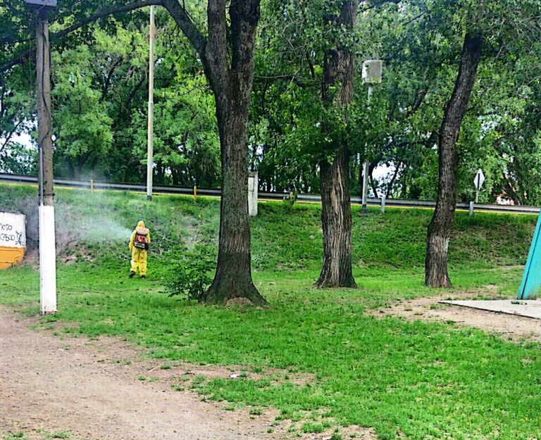 Continúa la fumigación en Arrecifes