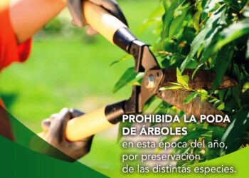 Se recuerda que está prohibida la poda de árboles en esta época del año