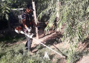 Desmalezamiento en el predio del Refugio de Animales