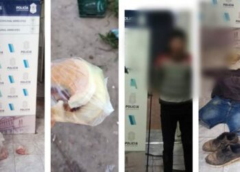 Esclarecen el robo al carrito de comidas y aprehenden al autor