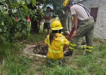 Bomberos rescataron un caballo de un pozo en Viña