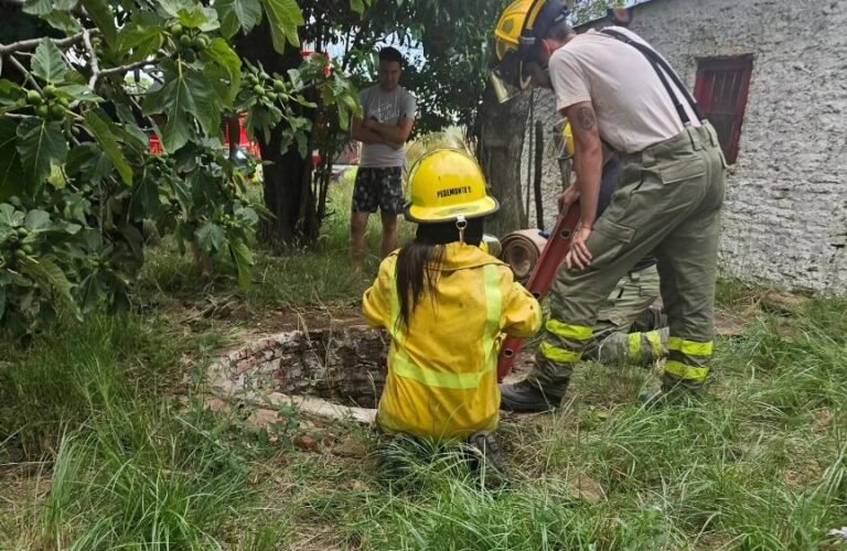 Bomberos rescataron un caballo de un pozo en Viña