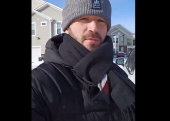 VIDEO. Canapino congelado