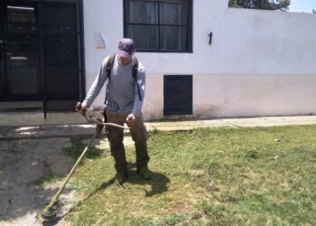 Comienzan los trabajos de desmalezamiento y desinsectación en establecimientos educativos