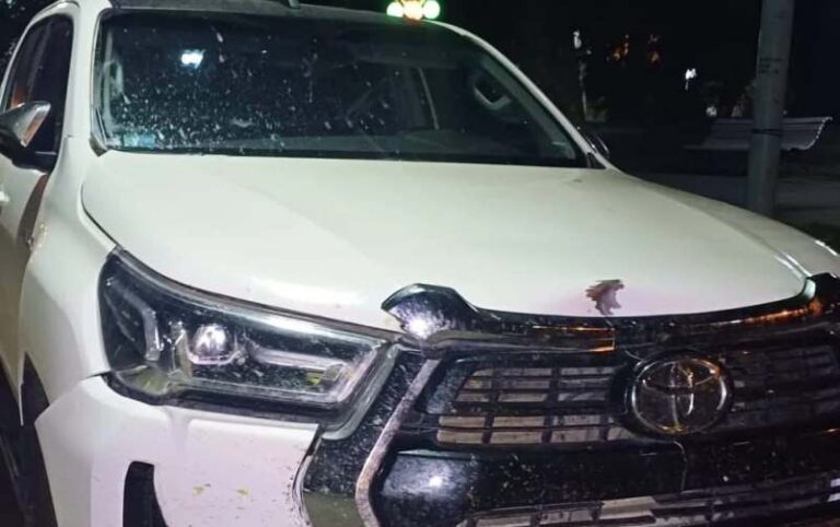 Accidente de Guillermo Ortelli en Arrecifes