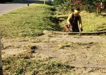 Desmalezamiento en caminos rurales de Viña