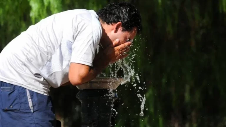 Recomendación ante temperaturas extremas en Arrecifes