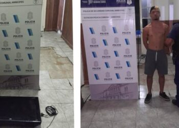 Robó un televisor y lo detuvieron
