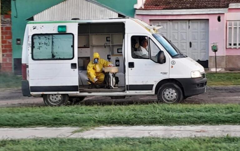 Ante la proliferación de mosquitos, se sigue fumigando