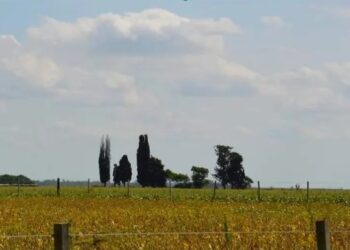 Josefina Viú presenta su libro “Recuerdos”, sobre la escuela rural