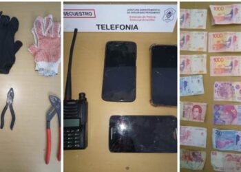 Esclarecieron el robo a carnicería de cerdos