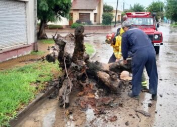 Defensa Civil Arrecifes trabaja ante el temporal