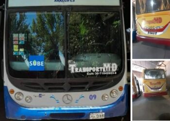 La línea de colectivos 501 cerró y puso a la venta sus unidades