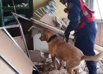 VIDEO. Dos muertos por el derrumbe de una obra en construcción en Caballito