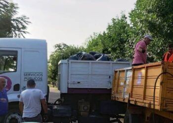 Se reanundó la recolección de residuos en Todd