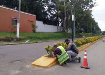 Limpieza y embellecimiento de canteros de Avenida Belgrano