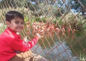 Profundo dolor en Salto: falleció el pequeño hijo de Silvina Scacheri