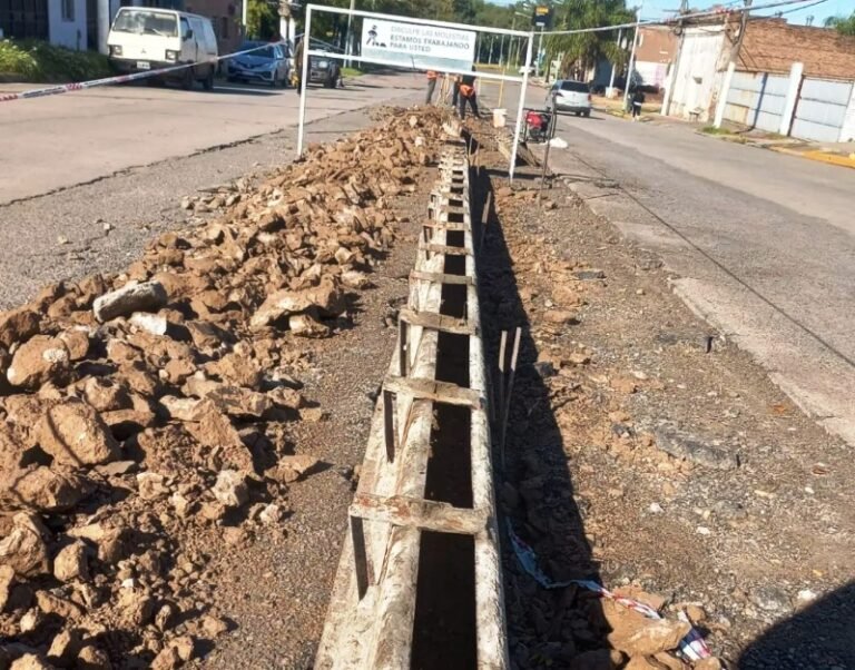 Construyen el último tramo de canteros de Avenida Merlassino