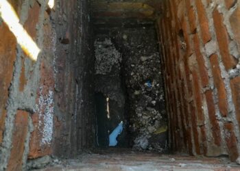 Desobstrucción de redes cloacales con tecnología biológica