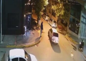 Insólito: un novillo paseó por el centro de Arrecifes