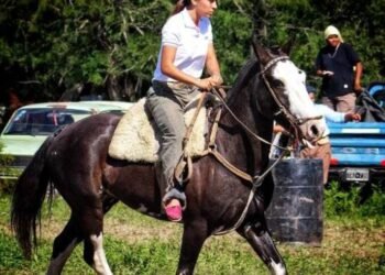 Allanamientos y reclamos por el caballo asesinado