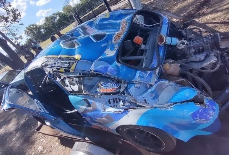 Piñón en el Costanero