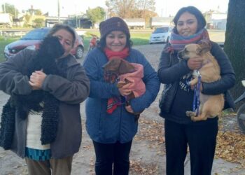 La campaña de castraciones gratuitas llega a barrio Fonavi