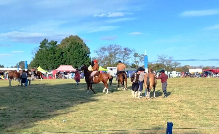 Tragedia: murió un joven en la doma en Arrecifes