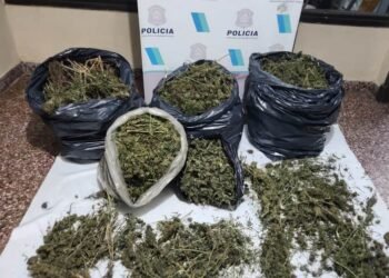 Allanamiento en La Cumbre: secuestran 10 kilos de marihuana