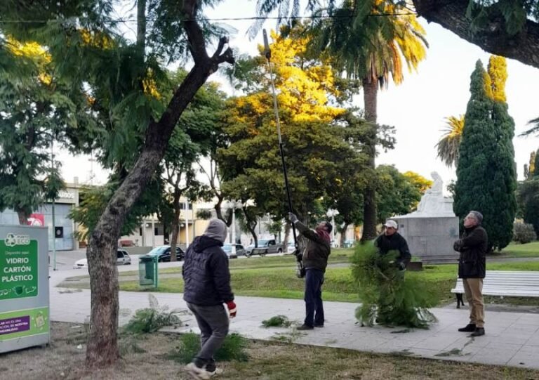 La Municipalidad comenzó con la poda de temporada