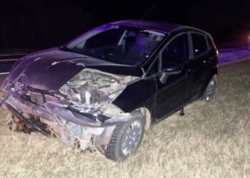 Un cerdo suelto en la ruta, casi produce una tragedia