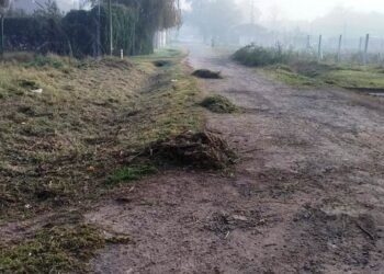 La Municipalidad sigue trabajando en calles de tierra