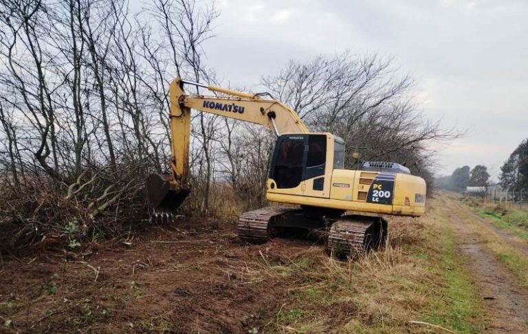 Apertura de caminos en paraje La Blanqueada