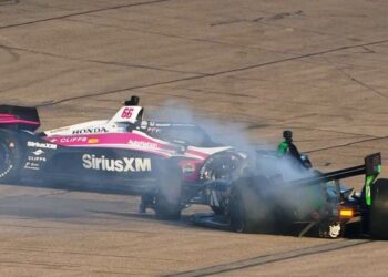 VIDEO. Canapino: orinado por una familia de elefantes y sus parientes lejanos