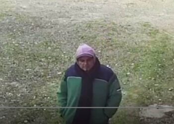 VIDEO. Robó en Aqua Palermo y lo filmaron