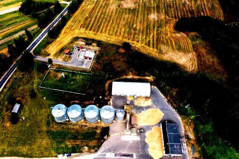 Detectan millonaria evasión tributaria en la zona