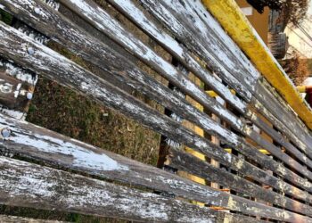 Reclaman por el estado de juegos en plazas