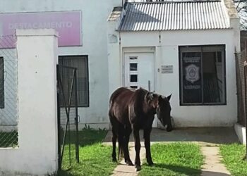 Preocupación del concejal Reigosa por el Destacamento La Cumbre