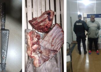 Chau asado: robó un costillar y lo detuvieron