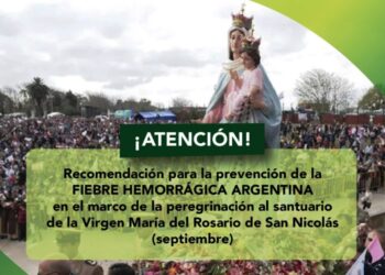Fiebre Hemorrágica Argentina: prevenciones para la peregrinación a San Nicolás