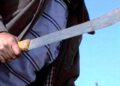 Atacaron a la policía cuando fue a detener al loco del machete