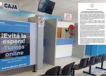 Las patentes, cédulas y formularios del Registro Automotor serán gratuitos