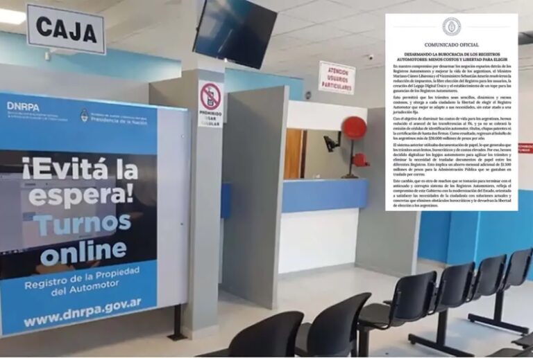 Las patentes, cédulas y formularios del Registro Automotor serán gratuitos
